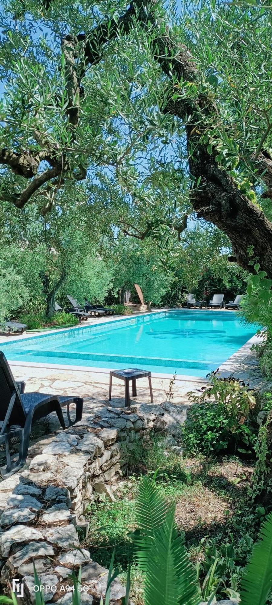 Agriturismo Le Vedute Бишелье Экстерьер фото